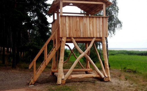 Stebejimo bokst (4)_0.jpg